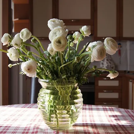 Casadandi Apartment *